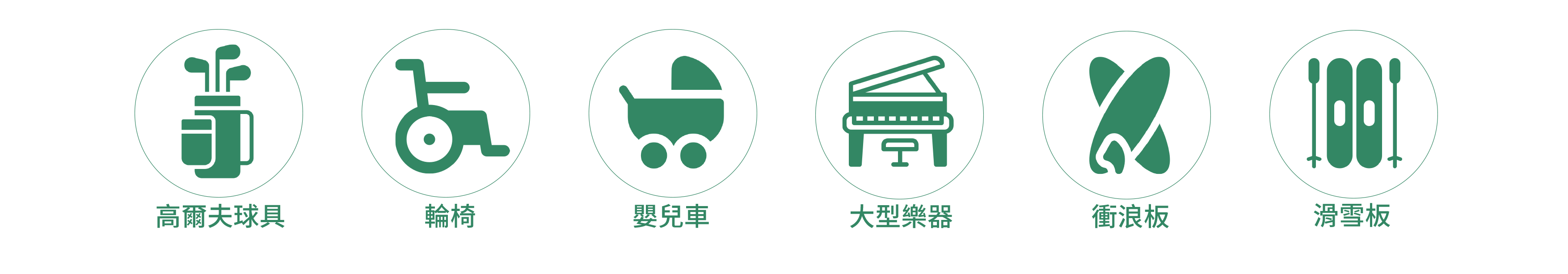 173特殊行李