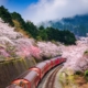 阿里山包車自由行