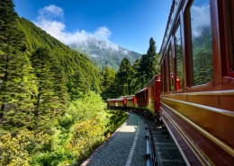 阿里山森林小火車